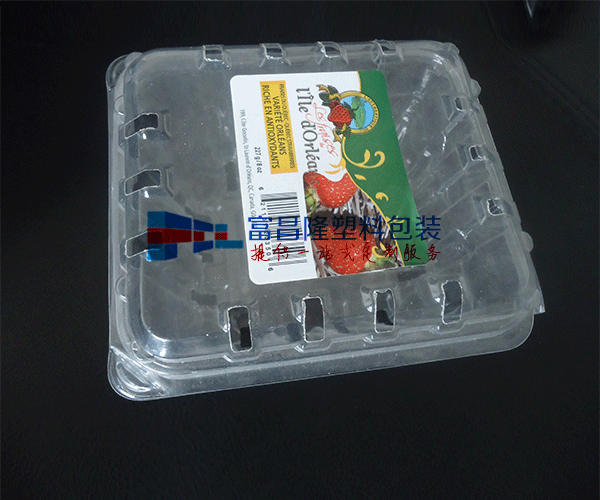 浙江水果对折吸塑包装盒